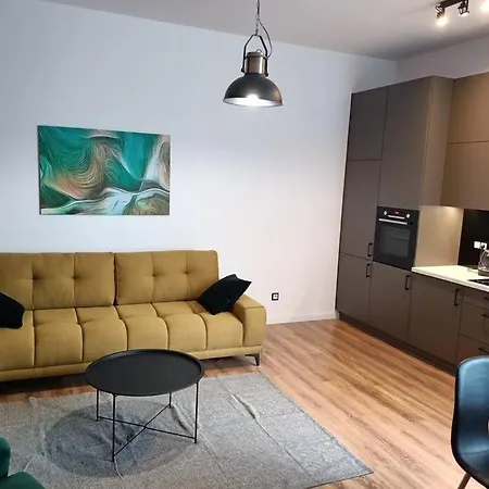 Apartament Nettuno Dowborczyków *